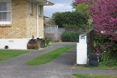 Photo of property in 64 Pooles Road, Greerton, Tauranga, 3112