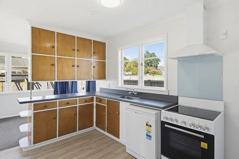 Photo of property in 27 Elizabeth Street, Levin, 5510
