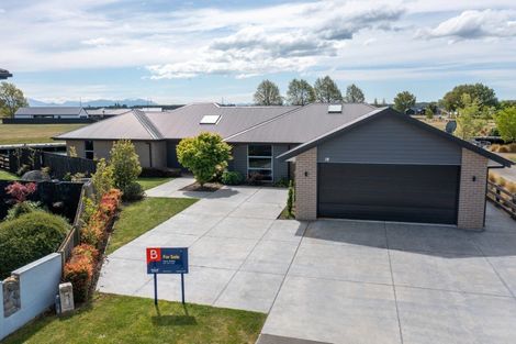 Photo of property in 61 Ludlow Drive, Huntingdon, Ashburton, 7774