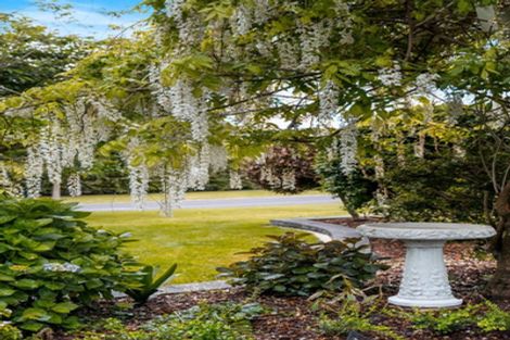 Photo of property in 129rc Moffat Road, Bethlehem, Tauranga, 3110
