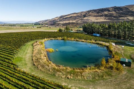 Photo of property in 1290 Luggate - Tarras Road, Tarras, Cromwell, 9383