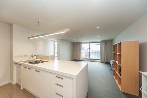 Photo of property in Republic Apartments, 2c/11 Tennyson Street, Te Aro, Wellington, 6011