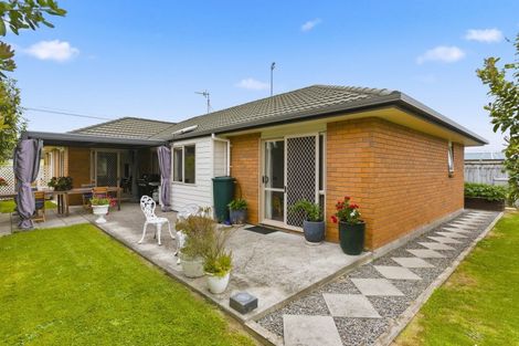 Photo of property in 63 Weraroa Road, Levin, 5510