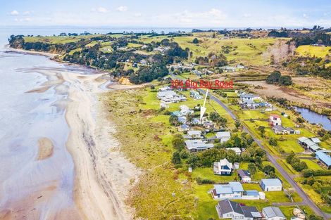 Photo of property in 304 Big Bay Road, Manukau Heads, Waiuku, 2684