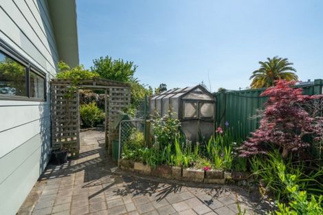 Photo of property in 80 Hinemoa Avenue, Taupo, 3330