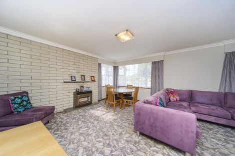 Photo of property in 20 Matipo Street, Takaro, Palmerston North, 4410