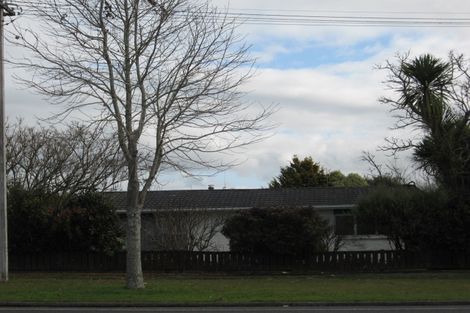 Photo of property in 173 Galloway Street, Hamilton East, Hamilton, 3216