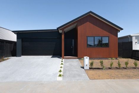 Photo of property in 39 Earp Crescent, Chartwell, 3210