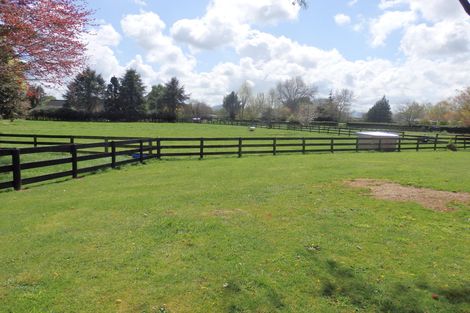 Photo of property in 151 Racecourse Road, Cambridge, 3493