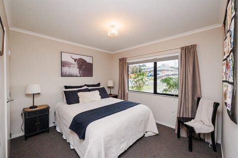 Photo of property in 91 Fraser Drive, Feilding, 4702