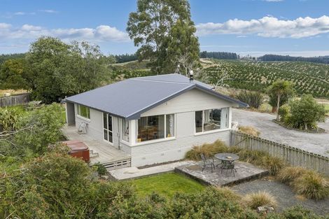 Photo of property in 861 Glenledi Road, Glenledi, Milton, 9292