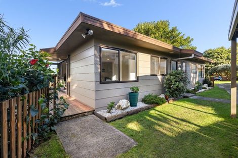 Photo of property in 41b Church Street, Gate Pa, Tauranga, 3112