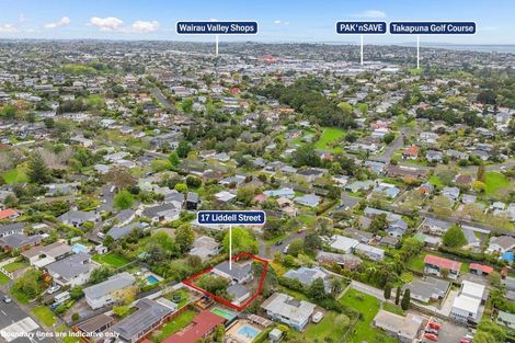 Photo of property in 17 Liddell Street, Hillcrest, Auckland, 0627
