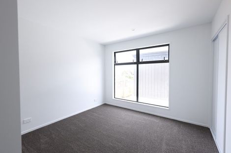 Photo of property in 45 Bordesley Street, Phillipstown, Christchurch, 8011