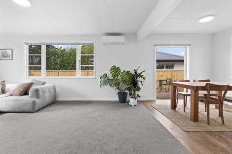 Photo of property in 41u1 Ross Crescent, Fairfield, Hamilton, 3214