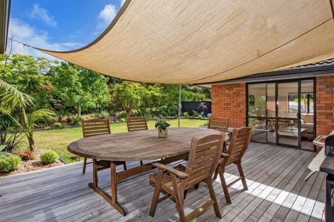 Photo of property in 22 Thelma Road, Mangawhai Heads, Mangawhai, 0505