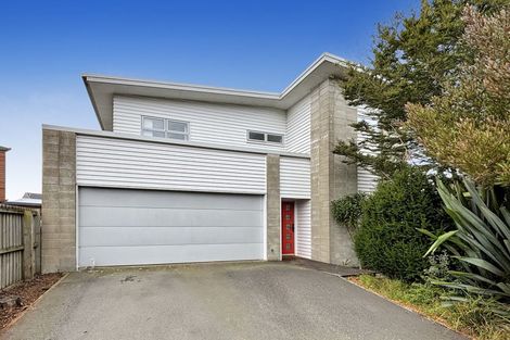 Photo of property in 48b Dickens Street, Addington, Christchurch, 8024