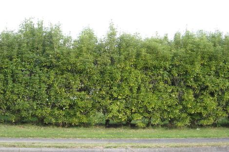 Photo of property in 111a Mckellar Place, Whangamata, 3620