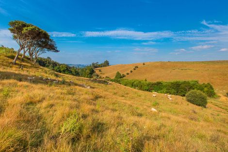 Photo of property in 81 Upper Wainui Road, Raglan, 3297