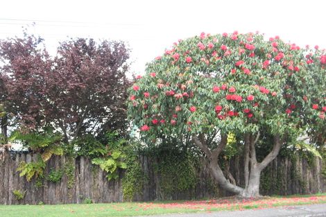 Photo of property in 74c Grand Vue Road, Kawaha Point, Rotorua, 3010