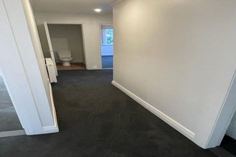 Photo of property in 19 Falkland Street, Maori Hill, Dunedin, 9010