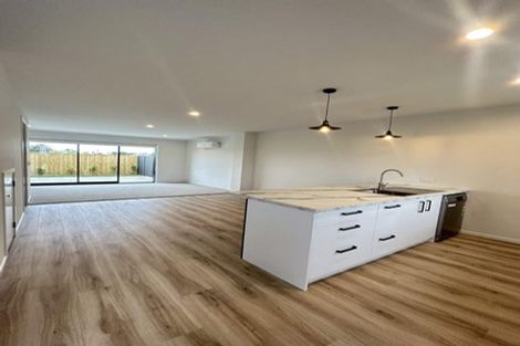 Photo of property in 53 Pipi Place, Levin, 5510