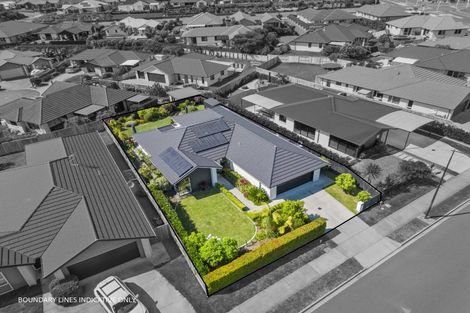 Photo of property in 12 Lakeside Terrace, Omokoroa, 3114