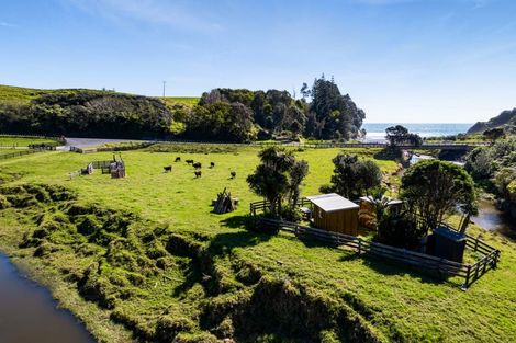Photo of property in 4020 Mokau Road, Tongaporutu, Urenui, 4376