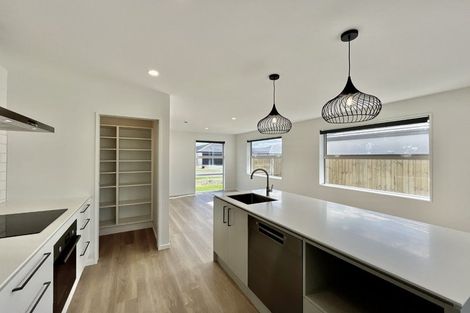 Photo of property in 26 John Gibb Street, Belfast, 8051