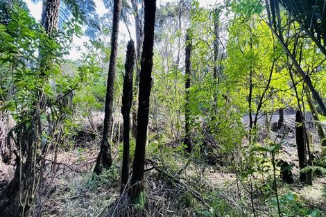 Photo of property in 600 Buffalo Road, Coromandel, 3506