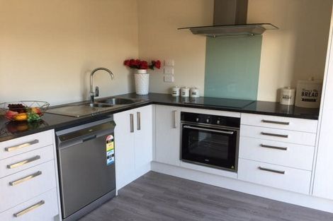 Photo of property in 215u1 Massey Street, Frankton, Hamilton, 3204