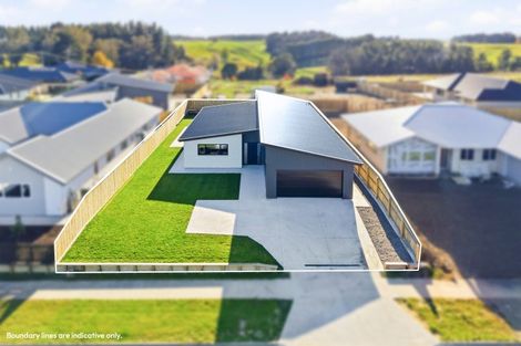 Photo of property in 3 Teitei Avenue, Feilding, 4702