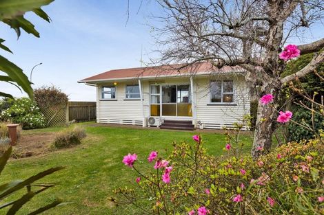 Photo of property in 82 Puriri Street, Hawera, 4610