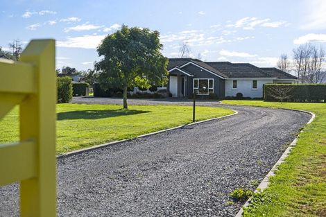 Photo of property in 365 Maungatautari Road, Cambridge, 3494