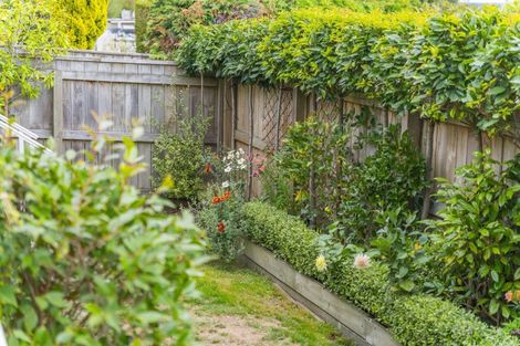 Photo of property in 46a Mere Road, Taupo, 3330