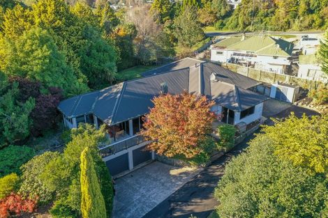 Photo of property in 9 Junction Street, Putaruru, 3411