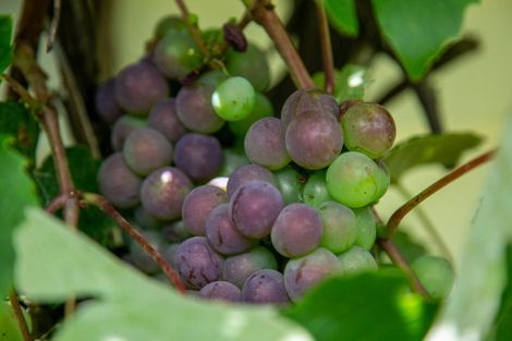 Photo of property in 107 King Street, Cambridge, 3434