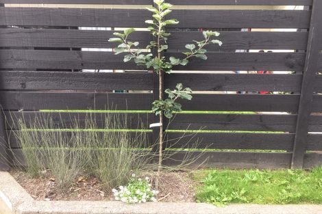 Photo of property in 4/46 Clare Road, St Albans, Christchurch, 8014