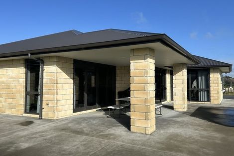 Photo of property in 123 Vineyard Road, Te Kauwhata, 3782
