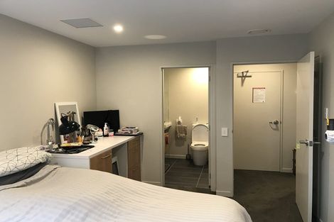 Photo of property in Vsp South, 102/166u Victoria Street, Te Aro, Wellington, 6011