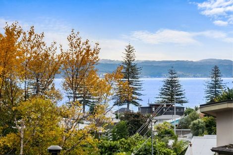 Photo of property in 153a Milton Road, Bluff Hill, Napier, 4110