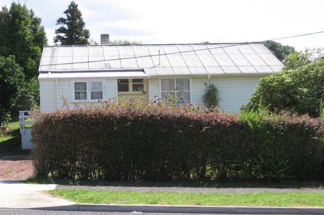 Photo of property in 47 Hutchinson Avenue, New Lynn, Auckland, 0600