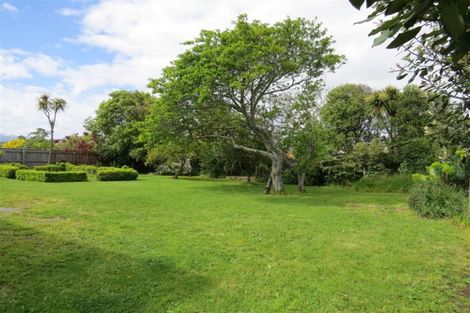 Photo of property in 117a Queen Street West, Levin, 5510