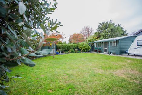 Photo of property in 51 Stafford Street, Cambridge, 3434