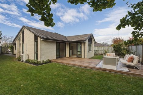 Photo of property in 15 Allington Place, Bethlehem, Tauranga, 3110
