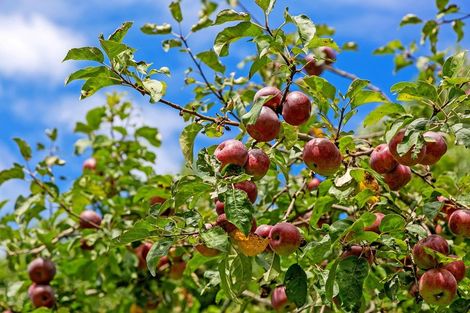 Photo of property in 1204 Kaipaki Road, Cambridge, 3495