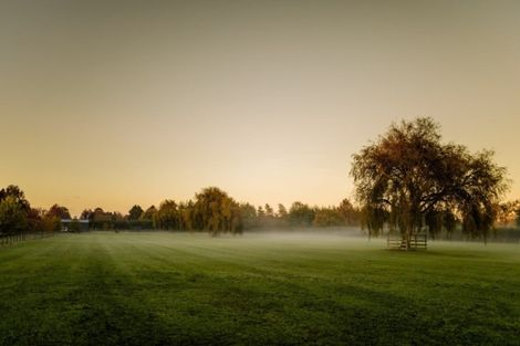 Photo of property in 25 Racecourse Road, Cambridge, 3493