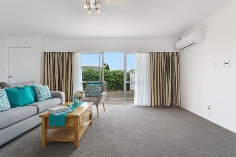 Photo of property in 14 Girven Road, Mount Maunganui, 3116