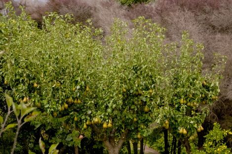 Photo of property in 3 Korepo Road, Ruby Bay, Upper Moutere, 7173