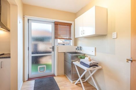 Photo of property in 58 Bordesley Street, Phillipstown, Christchurch, 8011